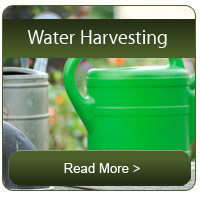 harvest-box